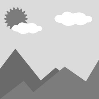 Drop Cable Fiber Optic Patch Cord